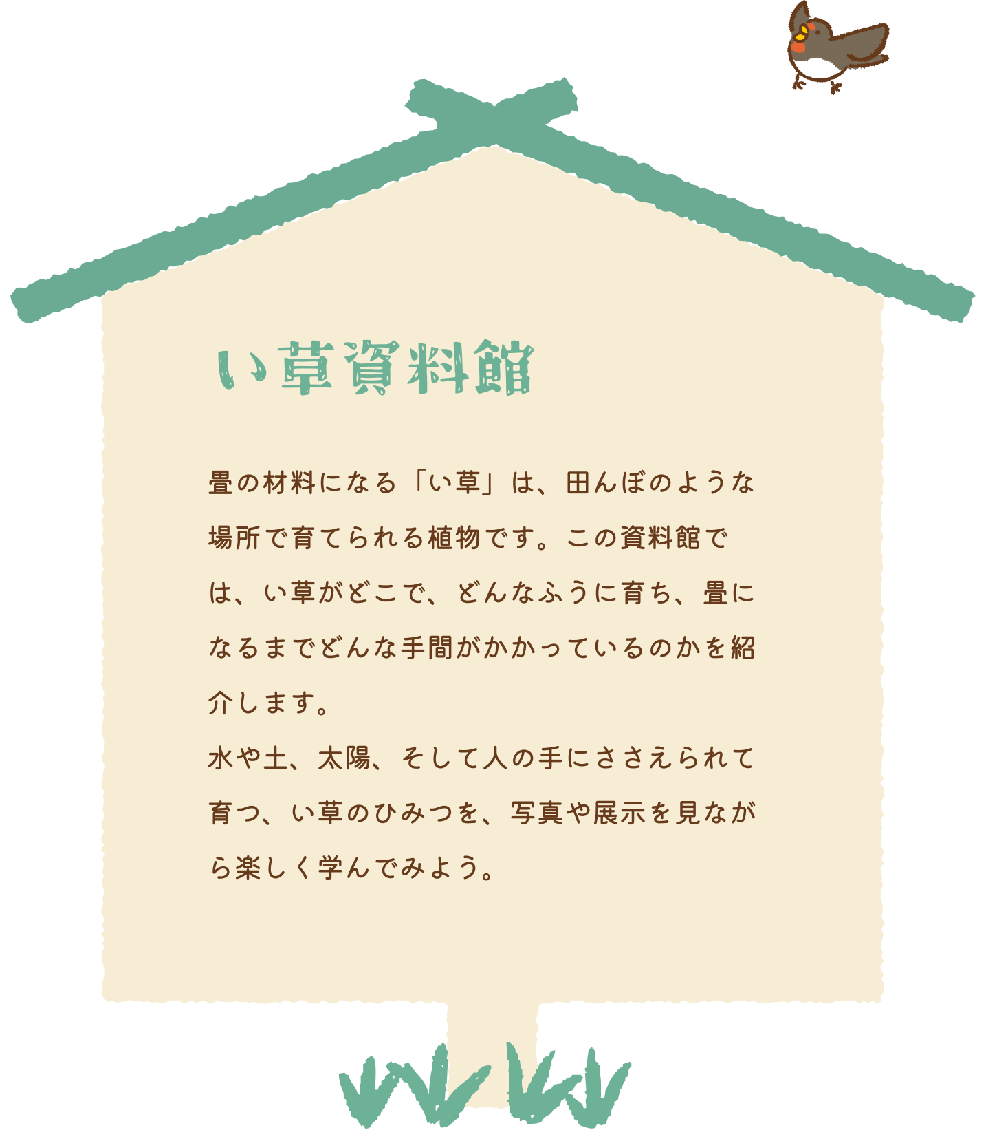 歴史資料館 畳のはじまりから今までを、写真を見ながらたどっていきます。むかしの人たちは、畳の上でねたり、すわったり、どんな毎日をすごしていたのでしょうか。畳は、時代とともに形を変えながら、日本のくらしの中で大切に使われてきました。写真や展示を見ながら、畳のれきしをのぞいてみましょう。